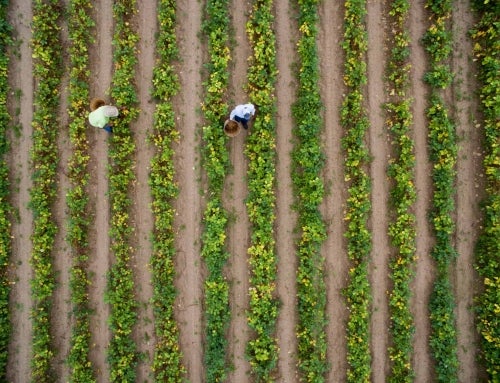 The Story of Ag Is Being Told in “From the Heartland”
