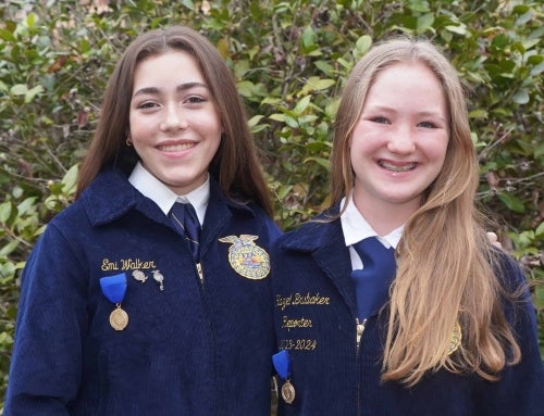 Searching for Success in Soybeans