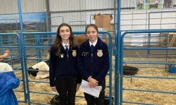 Members prepare to give reasons for livestock judging.