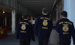 FFA members on the street