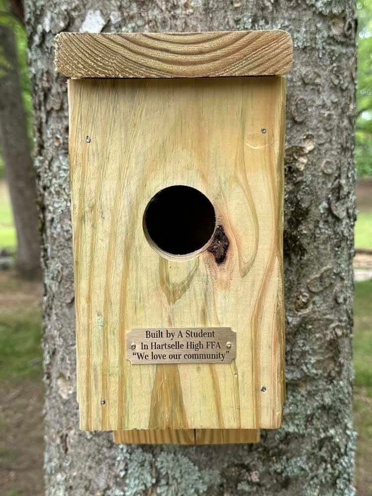 Change Champions Birdhouse