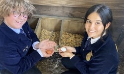 Chapter Reporter and Student Advisor, Kacey and Aiden, collect eggs.