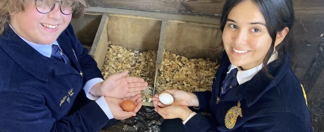 Chapter Reporter and Student Advisor, Kacey and Aiden, collect eggs.