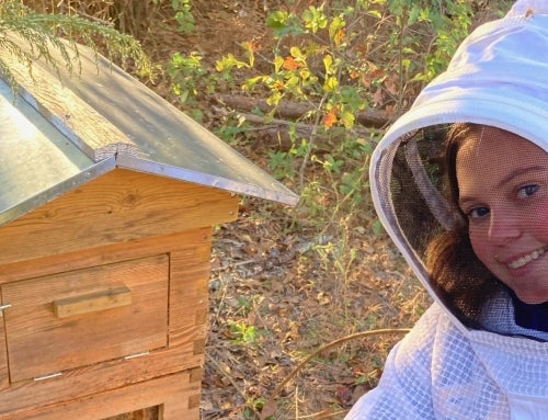 What’s the Buzz?