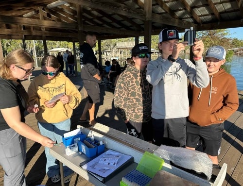 Opportunities Abound for High Rock FFA