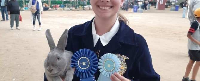 A young women, in a blue FFA jacket, holding a grey rabbit and two blue ribbons. She smiles proudly, and is standing in the middle of the barn, with goat pens behind her in the distance.