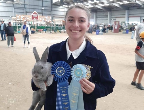 A Showmanship Success