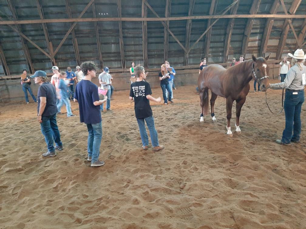 Graham (wearing a dark blue T-shirt and glasses) evaluates horses at the Illinois Section 25 Horse Judging CDE, one of his favorite competitions.