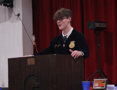 The Power of Persistence: Connor Graham’s Rise in FFA