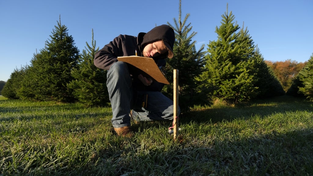 FFA member writes on a clipboard surrounded by Christmas trees.