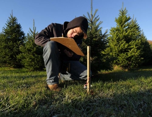 The Path to an Agritourism Enterprise