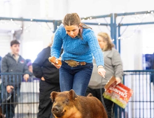 The Impact of Real-Life Experience on FFA Success