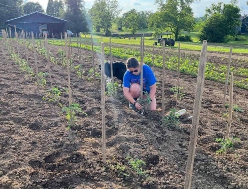 The Path to Bluegrass Region Star Farmer