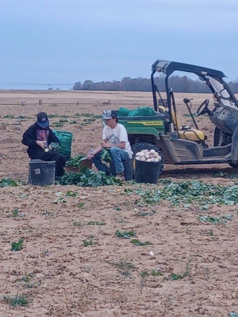 Rogers works out in the field.
