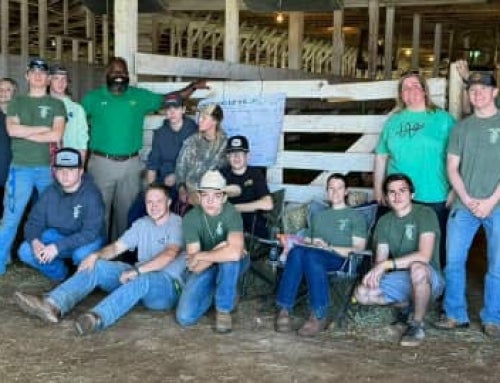 Little Learners, Big Lessons: West Iredell FFA Brings Ag to Life