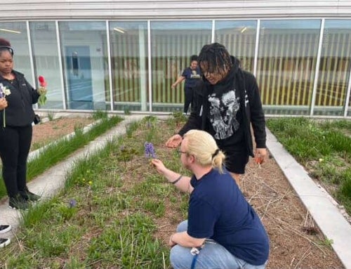 Rooftop to Table: Youth Cultivating Change