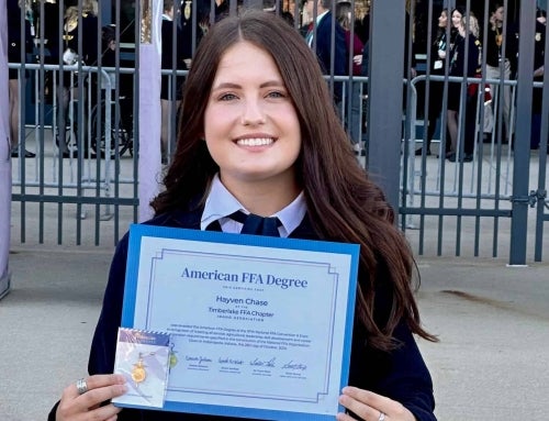 Hayven Chase Trained Her Way Through FFA
