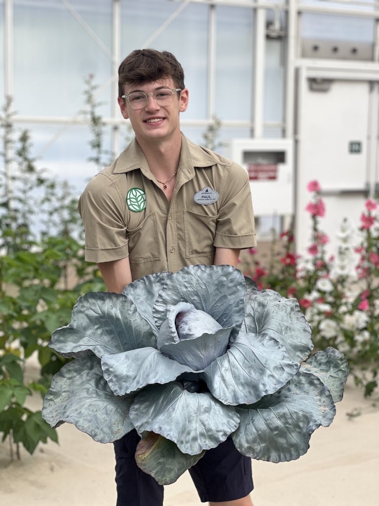 Completing various tasks in the greenhouses gave Herger an up-close look at plant production. Photo courtesy of Paul Herger.