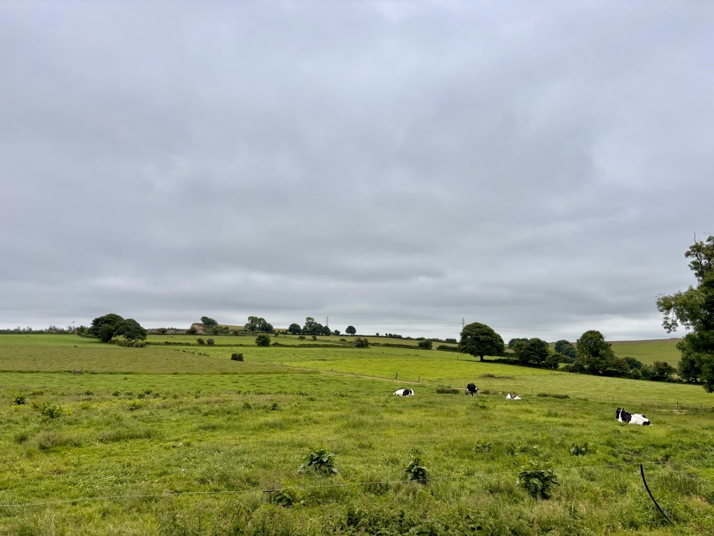 A view of fresh grass and cloudy skies in Kilkenny, Ireland.