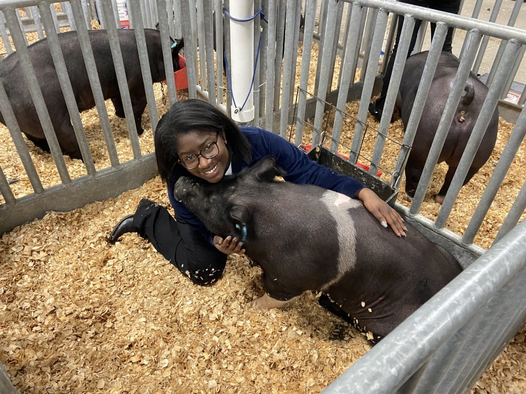 After joining FFA, Sims quickly fell in love with the process of raising and showing pigs. Photo courtesy of Tahja Sims.