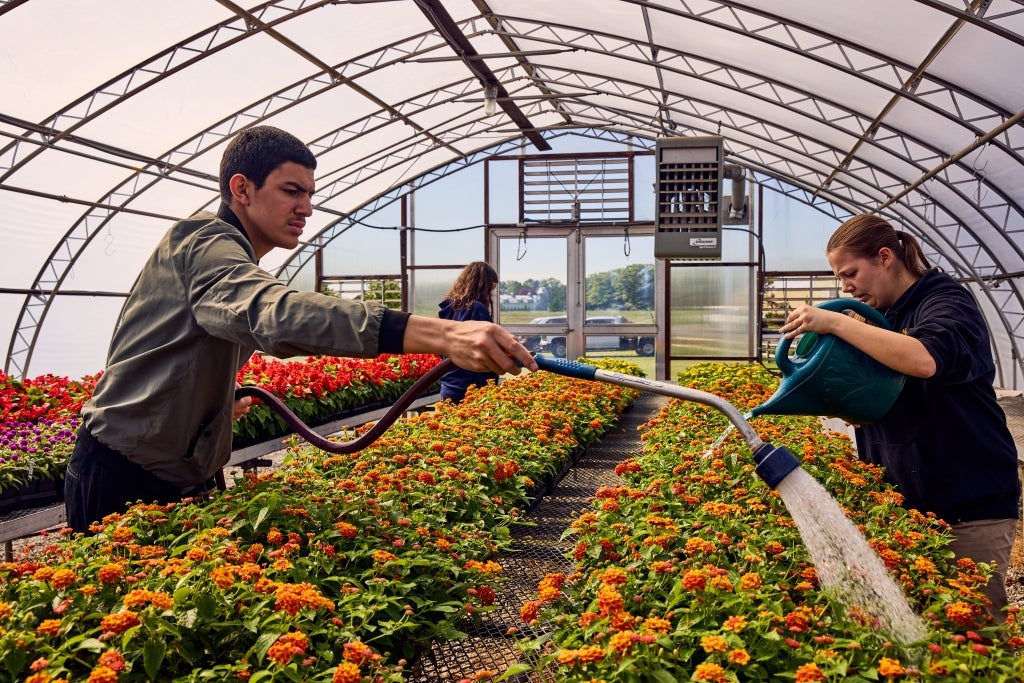 Jesse Boron (left) and Kourtney Daley (right) water flowers in the Horticultural Center. Photo by Chris Simpson.