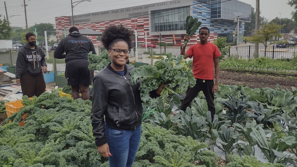 Students gather fresh greens grown on their two-acre farm. Photo courtesy of Amanda Anderson.