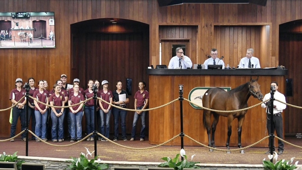 FFA members sell one of the horses they helped raise through the North Marion Equine Program. Photo courtesy of Lori Jones.