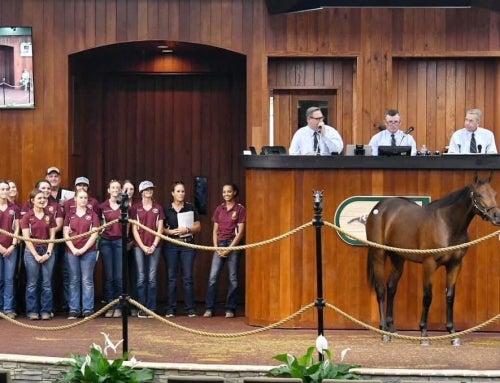 Florida Equine Program Saddles Up Success