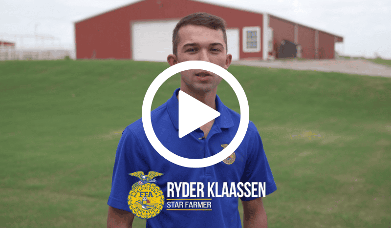 View American Star Winners