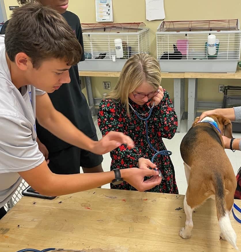 Former chapter secretary and FFA member Ben Grammich shows an ECS student how to use a stethoscope.