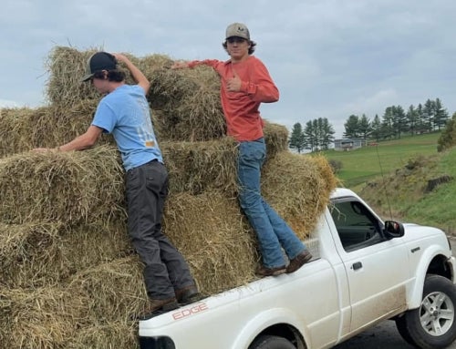North Iredell High School FFA Chapter Takes “Living to Serve” to Another Level