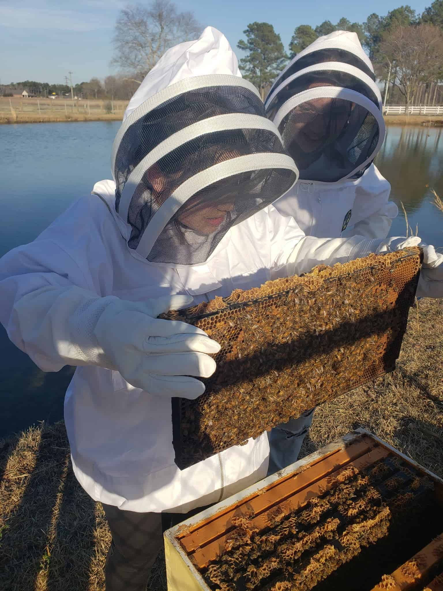 NECP FFA Beekeeping member, Lyra Lindsey, inspects a frame from the Beehive alongside members.