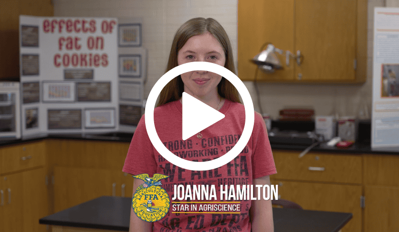 View American Star Winners