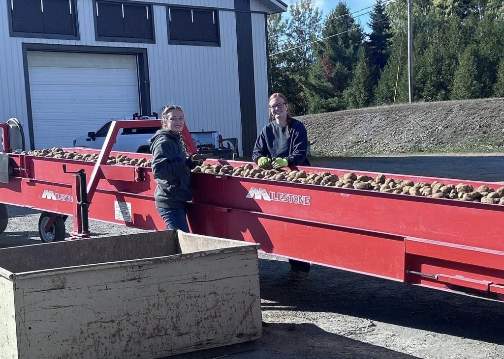 Mars Hill FFA members Hannah Shaw and Charlie Pierce work at a potato house, taking rocks out of the conveyor at County Super Spuds.