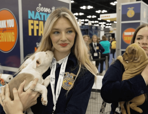 FFA Members Lend a “Paw” at National Convention