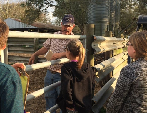 A Legacy of Service: Brad Etheridge