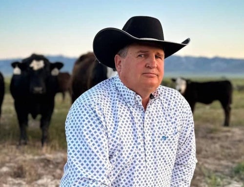 Darrell Holden Has a Way With Words