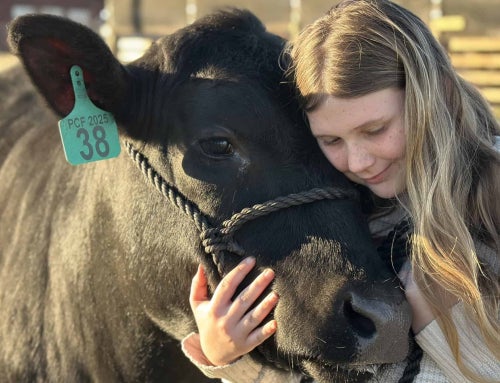 Florida FFA Members Learn Livestock Lessons Every Day