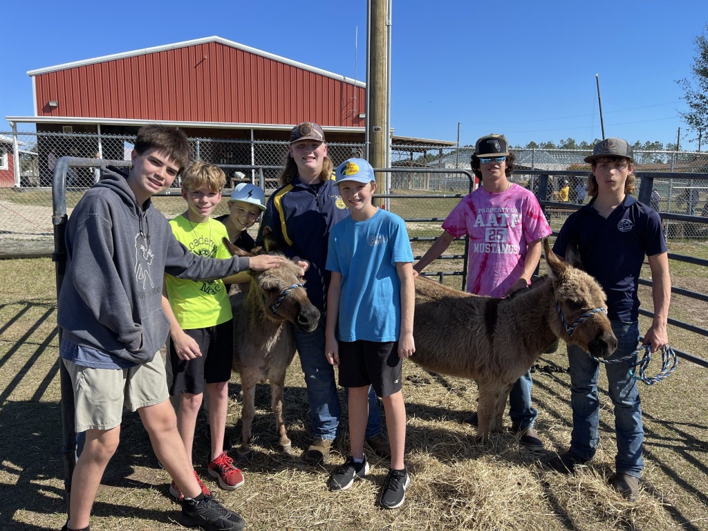 FFA members get ready to head off to the state and county fairs. The farm’s donkeys served as mascots during the school’s pep rally. Photo courtesy of Robin Carter.