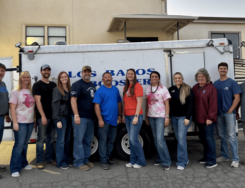 Two Decades, Endless Impact