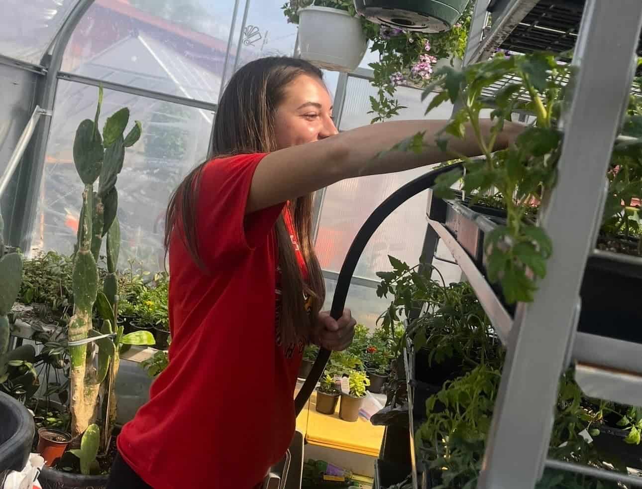 Cash watering plants in the North Clay FFA Greenhouse as the Greenhouse Manager.