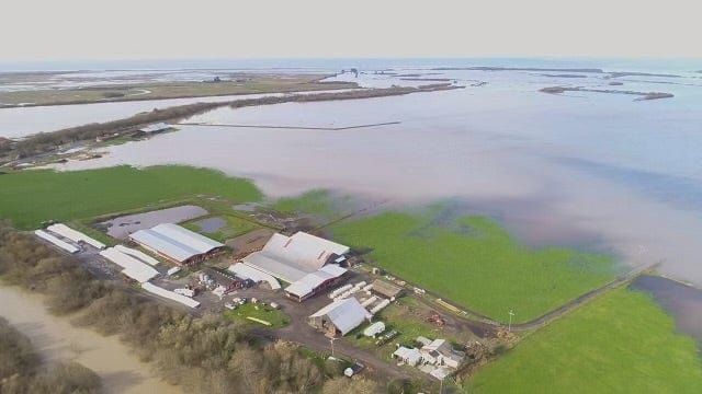 Infinity Dairy flooded in December 2022.