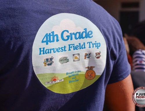 Living to Serve: Patterson FFA Inspires the Next Generation of Agricultural Leaders