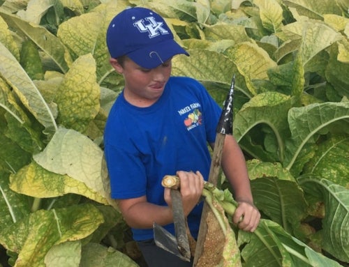 The Heart Behind the Harvest: Houston Parker