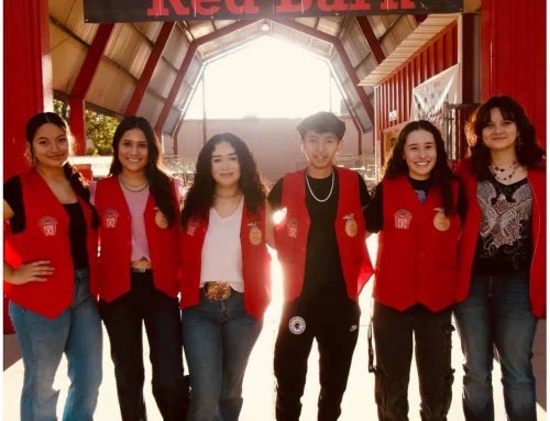 It’s a Bird…It’s a Plane…No, Wait…It’s a Barn Full of Positive Impact