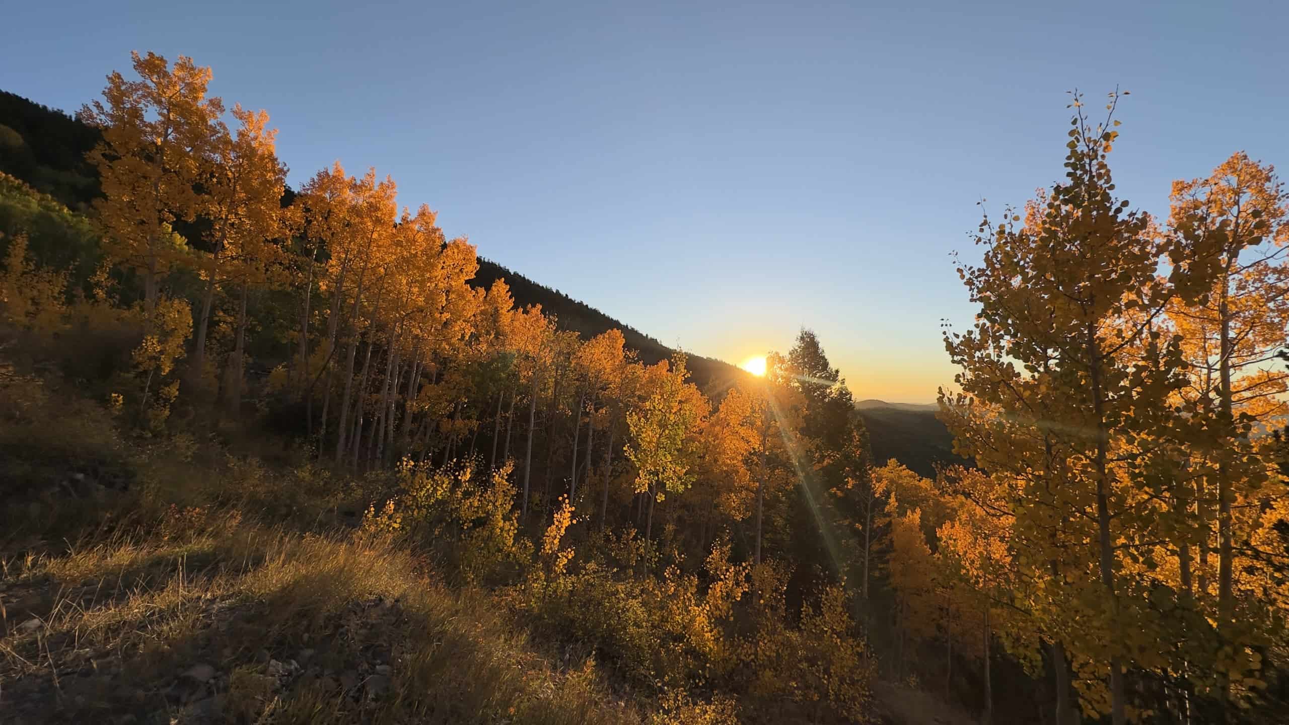 One of Knott’s photos that was taken at Philmont Scout Ranch in New Mexico.