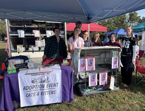 Living to Serve: Appoquinimink FFA Serving for Forgotten Cats
