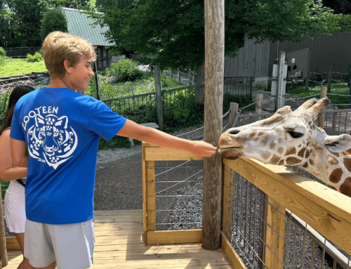 Go Wild! Crazy About Conservation