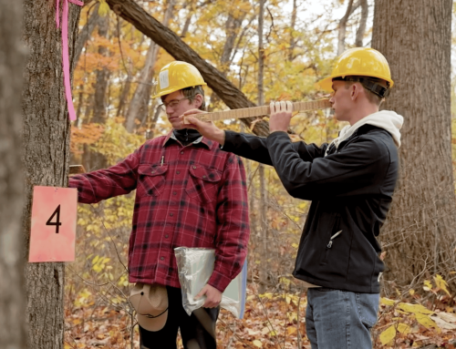 Branching Out in the Great Outdoors