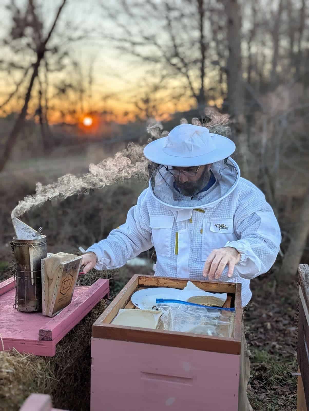 Journeyman Beekeeper, Ted Williamson, in the process of smoking a Beehive, as part of maintenance.